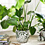Large Embossed Plant Pot Flower Planter Green & White Botanical Relief Indoor Outdoor Houseplant Succulent Flower Plantpot