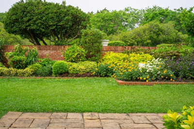 A large garden with a green lawn and large shrubs within in a garden border, creating a lush backdrop.