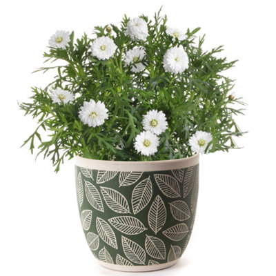 Large Green Leaf Patterned Indoor Flower Pot Outdoor Garden Planter (H) 15cm, (Dia)17cm
