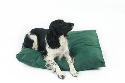 Heavy duty waterproof dog clearance beds