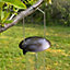 Large Hanging Bird Seed Feeders (Set of 2)