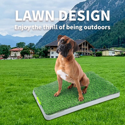 Large Indoor Dog Training Pad with Artificial Grass and Tray