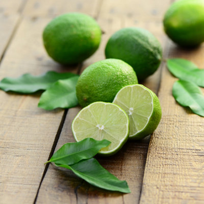 Large Lime Tree in a 5-6L Pot Supplied as a Garden Ready Plant in Pot - Grow Your Own Fresh Fruit - 3