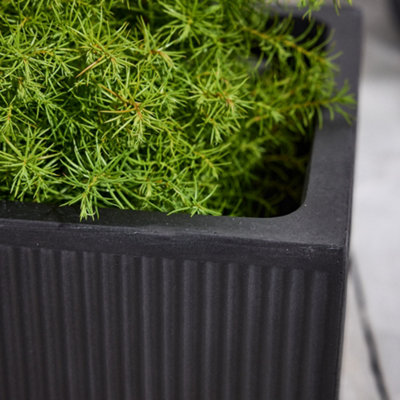 Large Rib Black Ribbed Finish Fibre Clay Indoor Outdoor Garden Plant ...