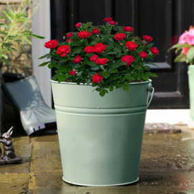 Large Sage Green Indoor Outdoor Garden Bucket Planter Pot