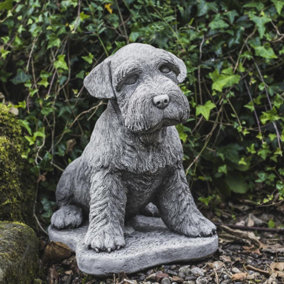 Large Schnauzer Stone Dog garden ornament