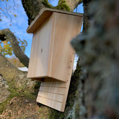 Large Wooden Bat Nesting Roosting Box - 3