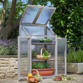 Large Wooden Gro-Zone Greenhouse with 3 Shelves - Germinate Seeds, Propagate Plants & Grow Exotic Fruit & Veg - H120 x W69 x D49cm