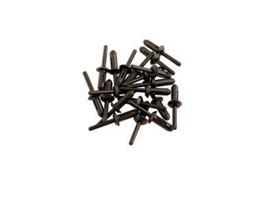 Laser Tools 3484 Rivets - Plastic 6.6mm x 17.2mm 20pc | DIY at B&Q