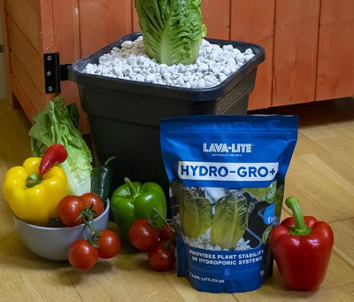 Lava-Lite Hydro-Gro+ Hydroponic Growing Media Stones Natural Child ...
