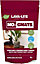 Lava-Lite No-Gnats Natural House Plant Fungus Gnat Control Child & Pet Safe 1L