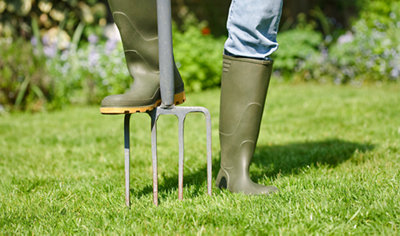 Lawn care tips Outdoor Garden B Q
