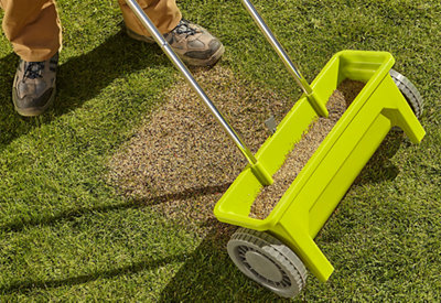 Using a wheeled spreader to spread granular feed across a lawn.
