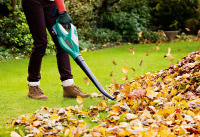 Person using a leaf blower to blow leaves that have fallen on a lawn into a pile.