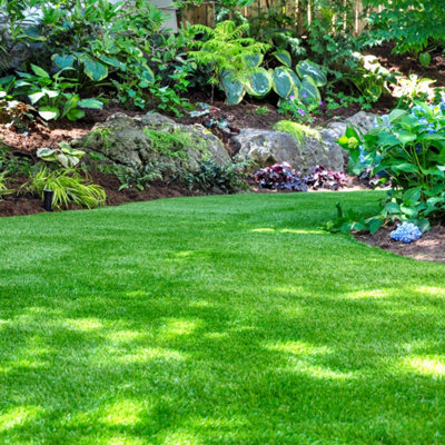 Lawn Turf Dressing 25L by Laeto Your Signature Garden - FREE DELIVERY INCLUDED - 3