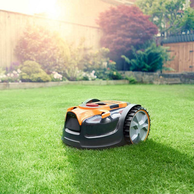 Robot to best sale mow lawn