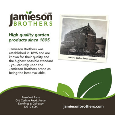 Lawnmix Top Soil 30L by Jamieson Brothers - 7