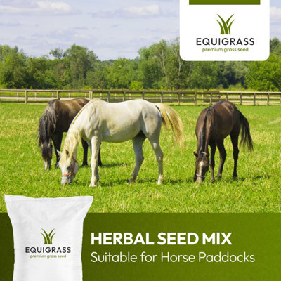Lawns Direct™ EquiGrass™ 5kg Professional Equine Herbal Paddock Seed ...