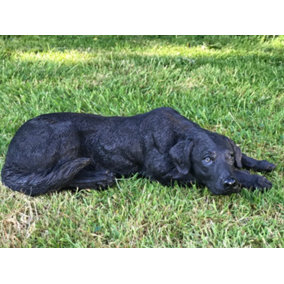Laying Black Labrador figurine, large (44cm long) realistic home or garden ornament or memorial