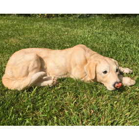 Laying Golden Labrador figurine, large (44cm long) realistic home or garden ornament or memorial