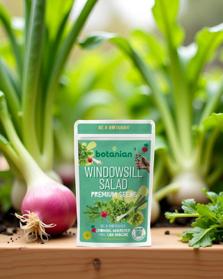 LBS Horticulture Premium Windowsill Salad Seeds Collection, 5 Varieties ...