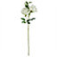 Leaf 60cm White Rose Purple Starflower Display Glass Vase