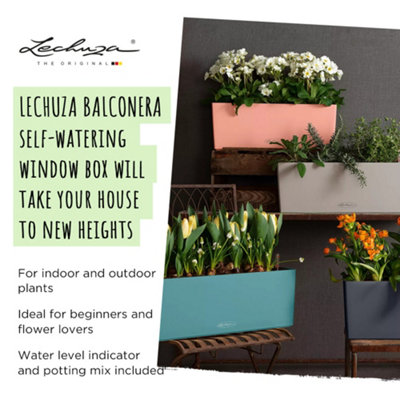LECHUZA BALCONERA Color 50 Slate Window Box Self-watering Planter with Substrate and Water Level Indicator H19 L50 W19 cm, 8L