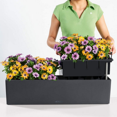 LECHUZA BALCONERA Color 80cm White Window Box, Plastic Self-watering Planter with Water Level Indicator H19 L80 W19 cm