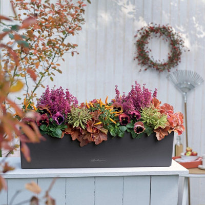 LECHUZA BALCONERA Color 80cm Window Box, Slate Grey Plastic Self-watering Planter with Water Level Indicator H19 L80 W19 cm
