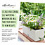 LECHUZA BALCONERA Cottage 50 White Self-watering Planter with Substrate and Water Level Indicator H19 L50 W19 cm, 8L