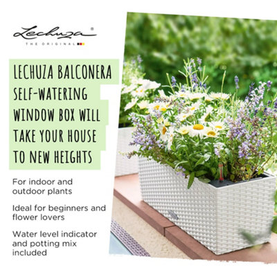LECHUZA BALCONERA Cottage 80cm Window Box, Light Grey Plastic Self-watering Planter with Water Level Indicator H19 L80 W19 cm