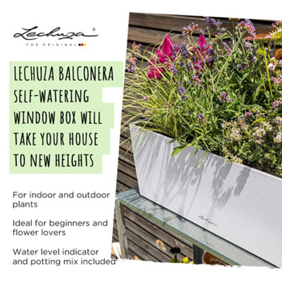 LECHUZA BALCONERA Stone 50cm Window Box, Beige Self-watering Planter with Substrate and Water Level Indicator H19 L50 W19 cm