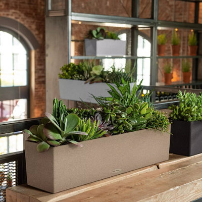 LECHUZA BALCONERA Stone 80cm Window Box, Beige Plastic Self-watering Planter with Water Level Indicator H19 L79 W19 cm