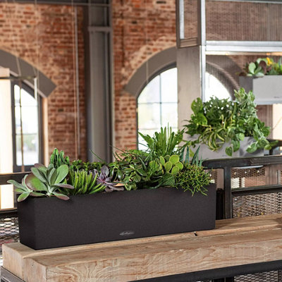LECHUZA BALCONERA Stone 80cm Window Box, Black Plastic Self-watering Planter with Water Level Indicator H19 L79 W19 cm