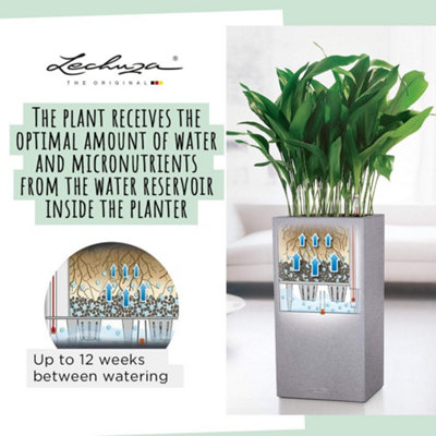 LECHUZA CANTO Stone 30 High Stone Grey Plastic Self-watering Planter with Substrate and Water Level Indicator H56 L30 W30 cm