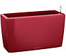 LECHUZA CARARO 75 Scarlet Red High-Gloss Self-watering Planter with Substrate and Water Level Indicator H43 L75 W30 cm, 97L