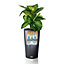 LECHUZA CILINDRO Color 23 Slate Floor Self-watering Planter with Substrate and Water Level Indicator D23 H41 cm, 5.5L