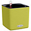 LECHUZA CUBE Color 14 Pistachio Table Self-watering Planter with Water Level Indicator H14 L14 W14 cm, 1.4L