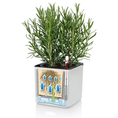 LECHUZA CUBE Color 14 Sand Brown Table Self-watering Planter with Water Level Indicator H14 L14 W14 cm, 1.4L