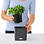 LECHUZA CUBE Color 14 Slate Table Self-watering Planter with Water Level Indicator H14 L14 W14 cm, 1.4L