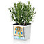LECHUZA CUBE Color 16 White Table Self-watering Planter with Water Level Indicator H16 L17 W17 cm, 1.8L