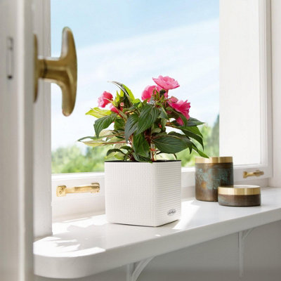 LECHUZA CUBE Color 16 White Table Self-watering Planter with Water Level Indicator H16 L17 W17 cm, 1.8L