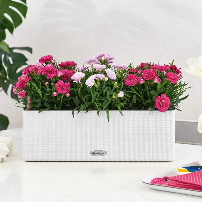 LECHUZA CUBE Color Hanging White Plastic Self-watering Planter with Water Level Indicator H14 L40 W14 cm