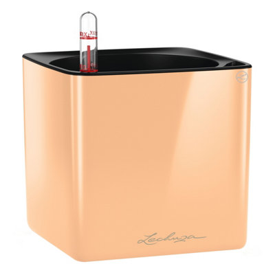 LECHUZA CUBE Glossy 14 Apricot High-Gloss Table Self-watering Planter with Water Level Indicator H14 L14 W14 cm, 1.4L