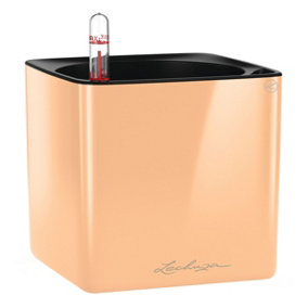 LECHUZA CUBE Glossy 14 Apricot High-Gloss Table Self-watering Planter with Water Level Indicator H14 L14 W14 cm, 1.4L