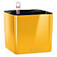 LECHUZA CUBE Glossy 14 Sunny Yellow High-Gloss Table Self-watering Planter with Water Level Indicator H14 L14 W14 cm, 1.4L
