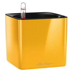 LECHUZA CUBE Glossy 14 Sunny Yellow High-Gloss Table Self-watering Planter with Water Level Indicator H14 L14 W14 cm, 1.4L