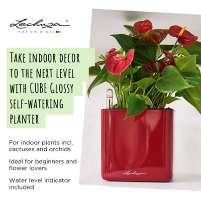 LECHUZA CUBE Glossy 16 Scarlet Red High-Gloss Plastic Self-watering Planter with Water Level Indicator H16 L17 W17 cm