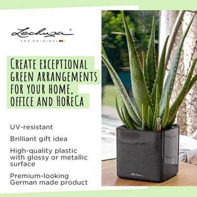 LECHUZA CUBE Glossy 16 Scarlet Red High-Gloss Plastic Self-watering Planter with Water Level Indicator H16 L17 W17 cm