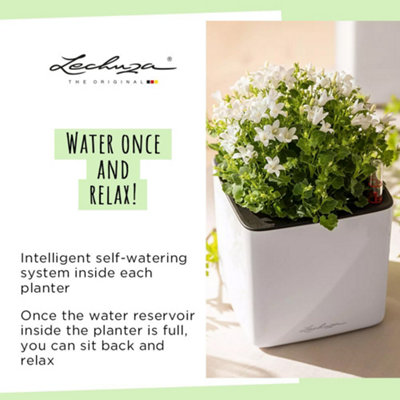 LECHUZA CUBE Glossy 16 Scarlet Red High-Gloss Plastic Self-watering Planter with Water Level Indicator H16 L17 W17 cm